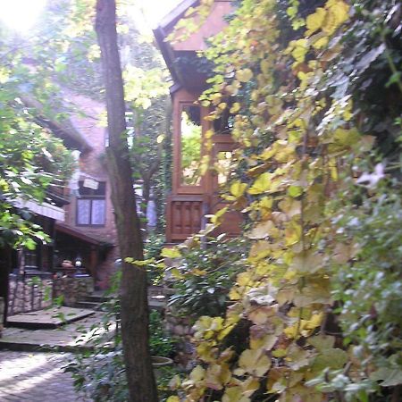 Gite Le Riesling Bergheim Εξωτερικό φωτογραφία